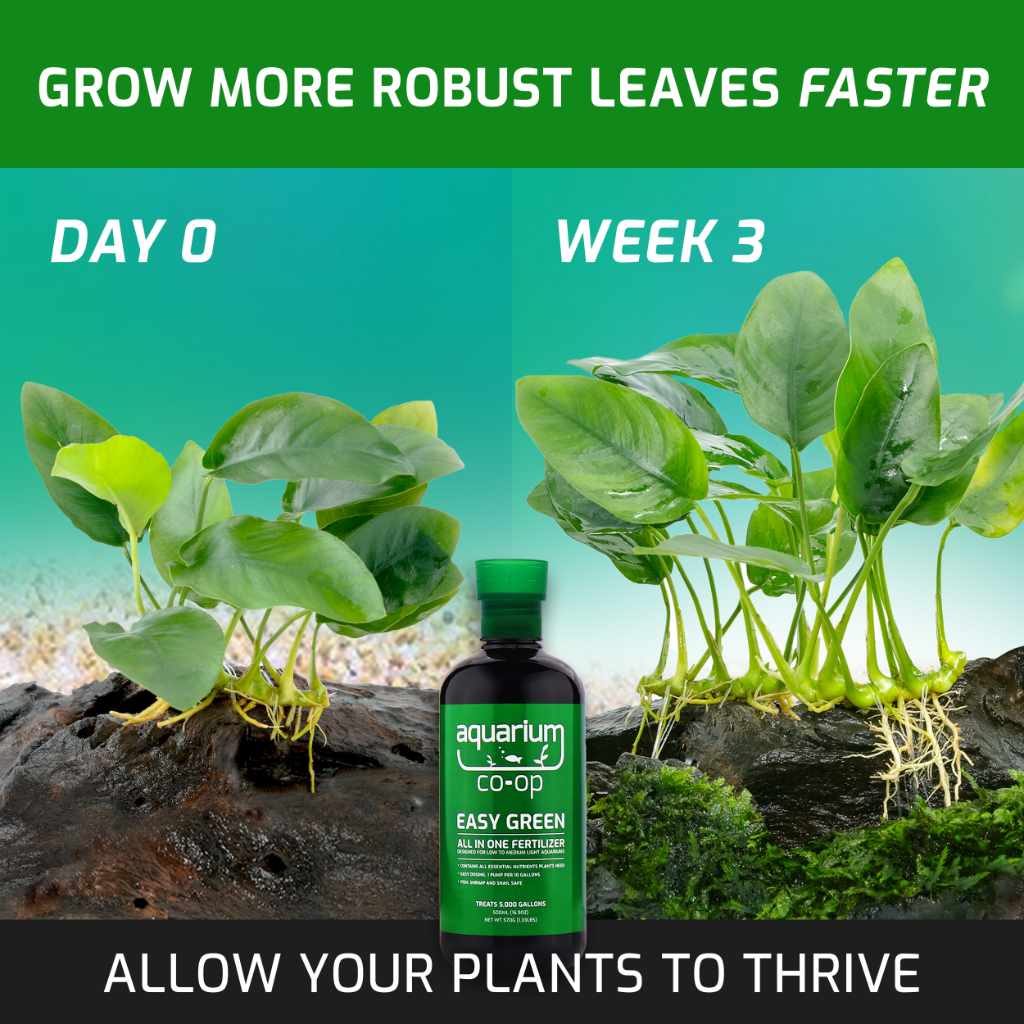 Liquid Aquarium Plant Fertilizer product image 4