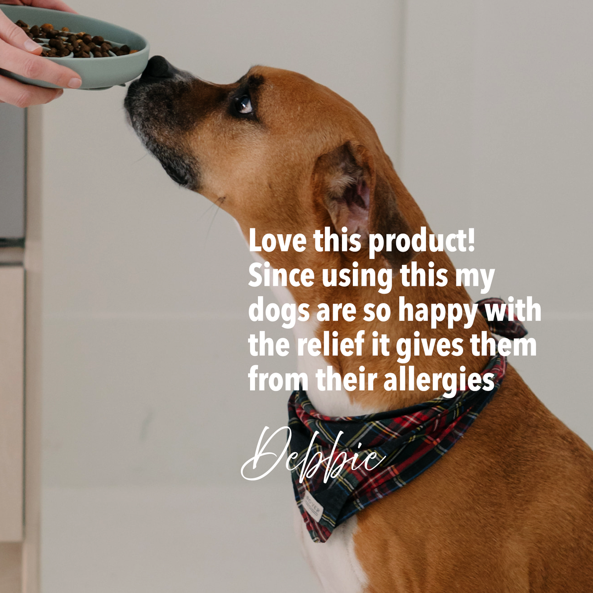 Dog Food Topper product image 3