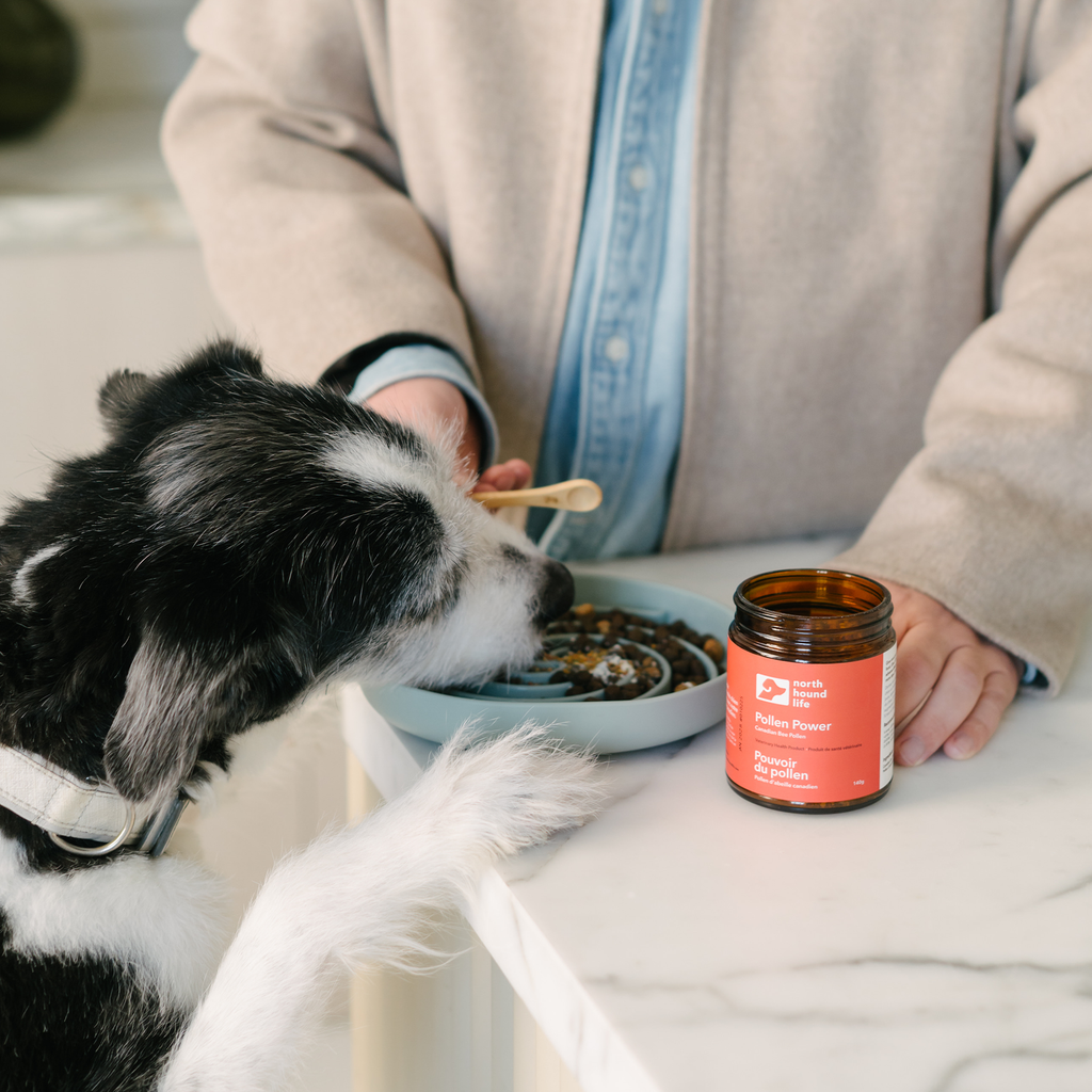 Dog Food Topper product image 6