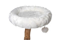 Cotton White