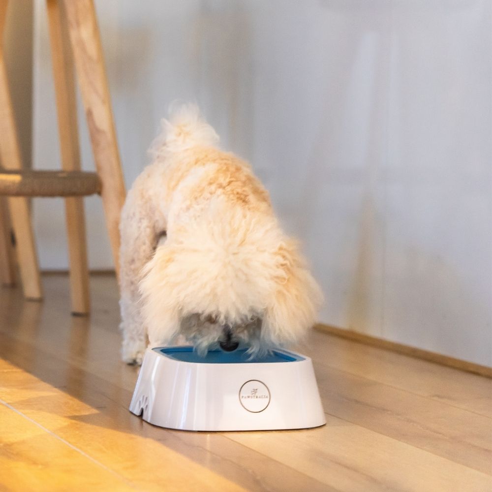 Dog Water Bowl product image 6
