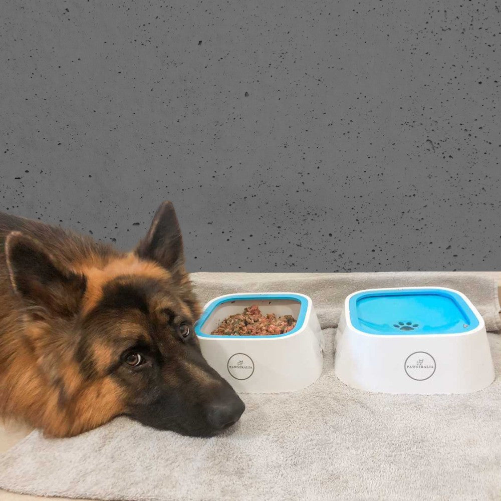 Dog Water Bowl product image 7