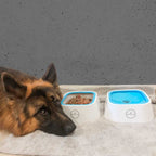 Dog Water Bowl product image 7
