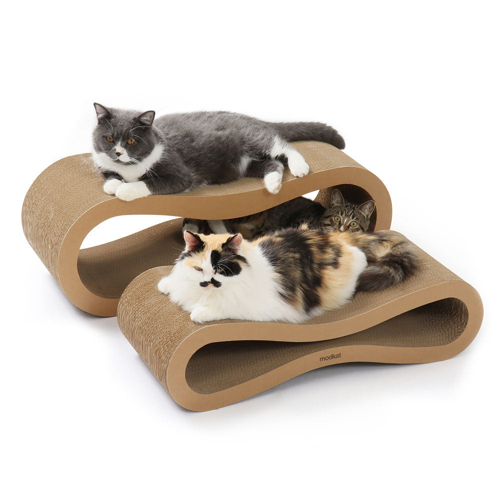 Two lounges with cats chilling on them