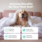 Dog Calming Supplement product image 2