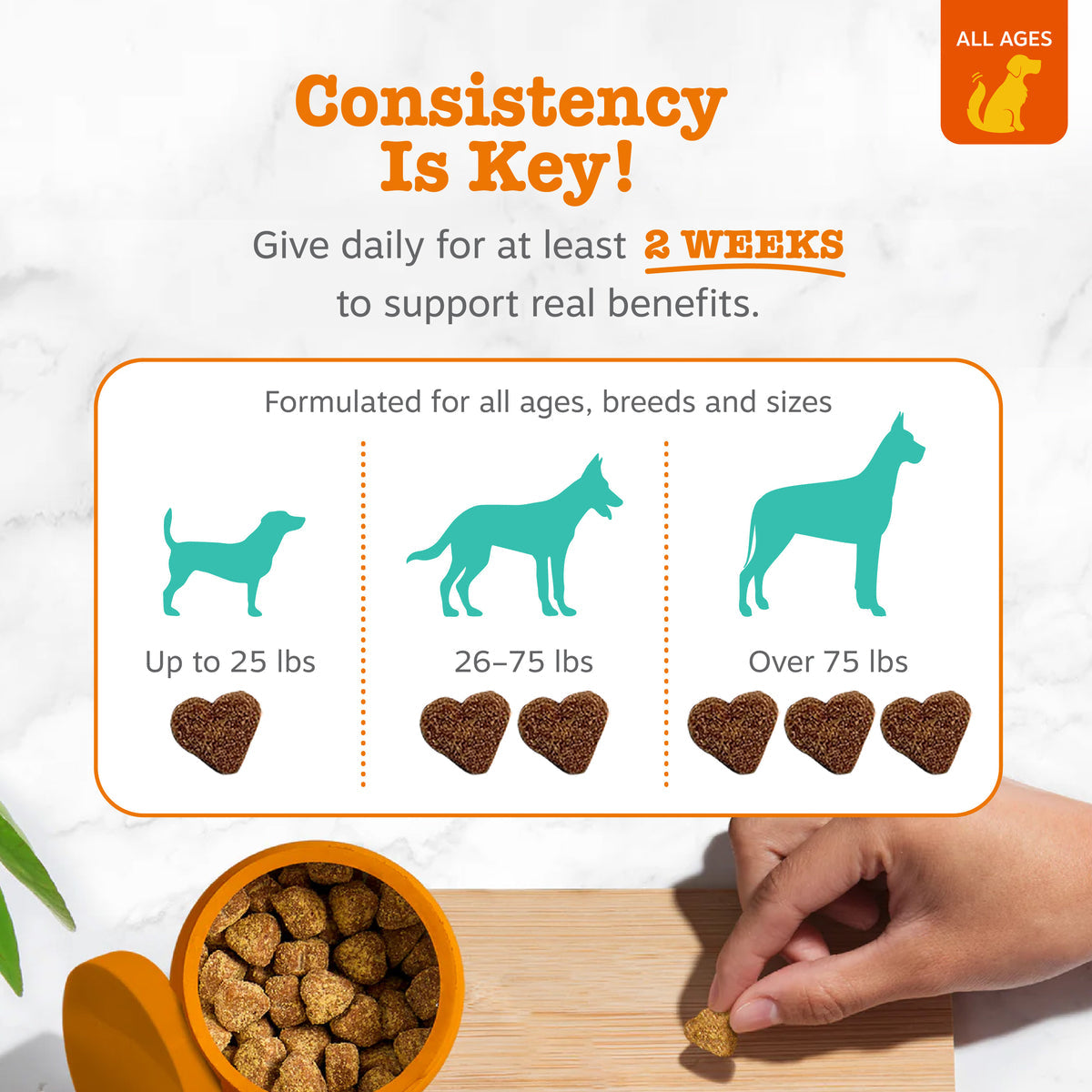 Dog Calming Supplement product image 4