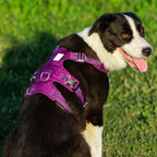 Escape Proof Dog Harness product image 15