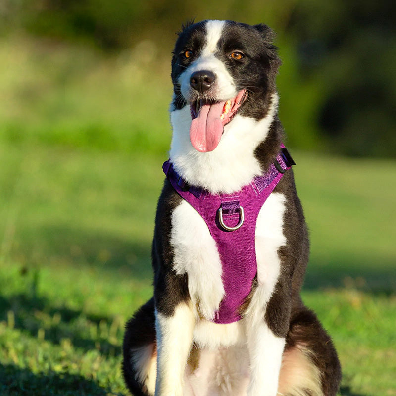 Escape Proof Dog Harness product image 16
