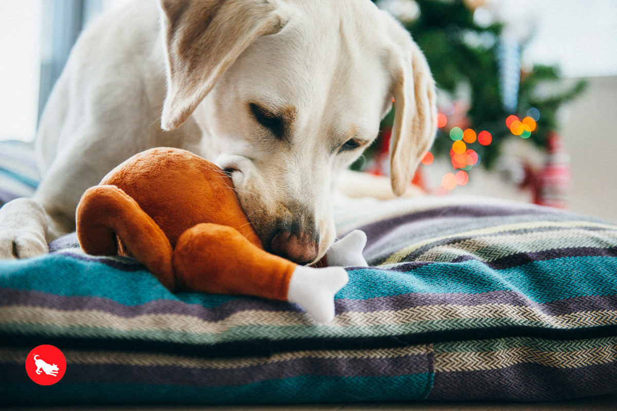 Interactive Dog Toy product image 2