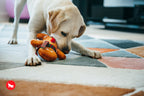 Interactive Dog Toy product image 3