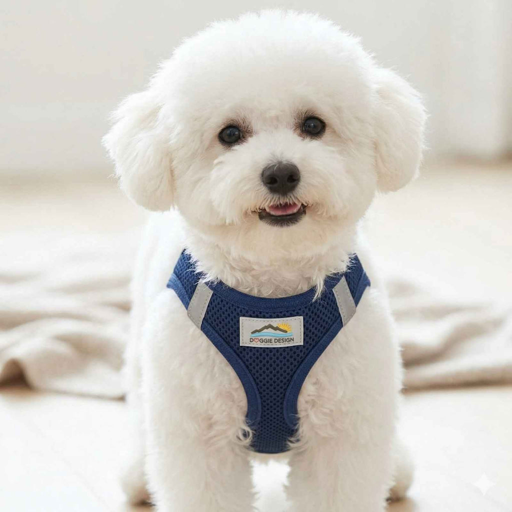 Step-In Dog Harness product image 1