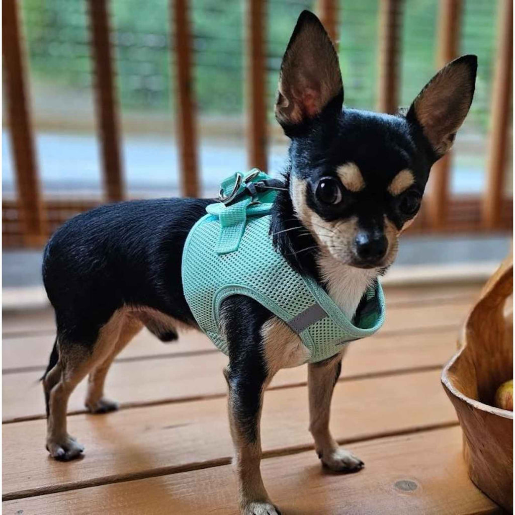 Step-In Dog Harness product image 4