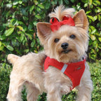 Step-In Dog Harness product image 6