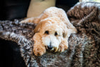 Waterproof Dog Blanket product image 3