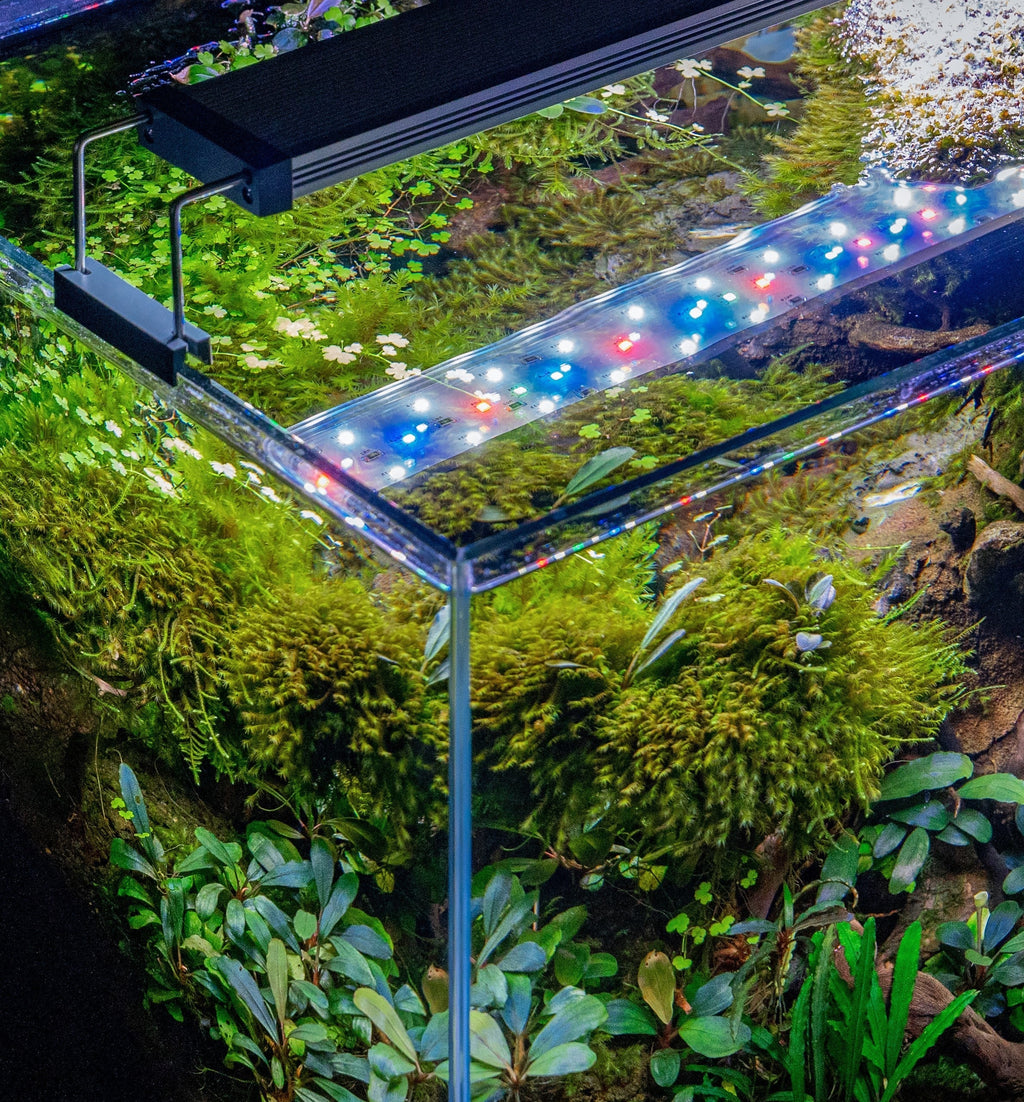 RGB-W Aquarium LED Light product image 5