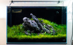 RGB-W Aquarium LED Light product image 9