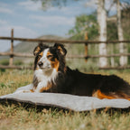 Portable Dog Bed product image 6