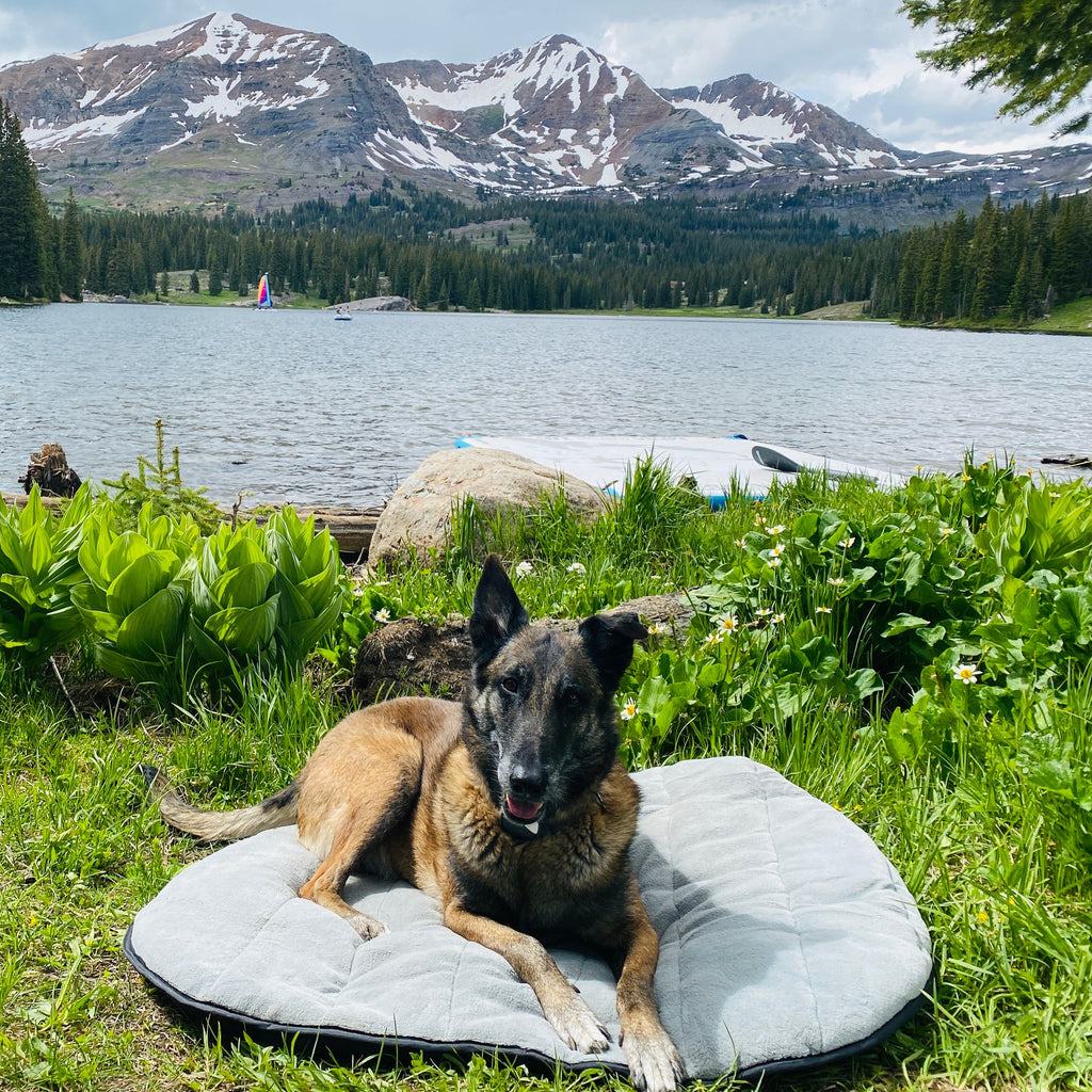 Portable Dog Bed product image 7
