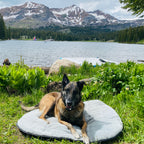 Portable Dog Bed product image 7