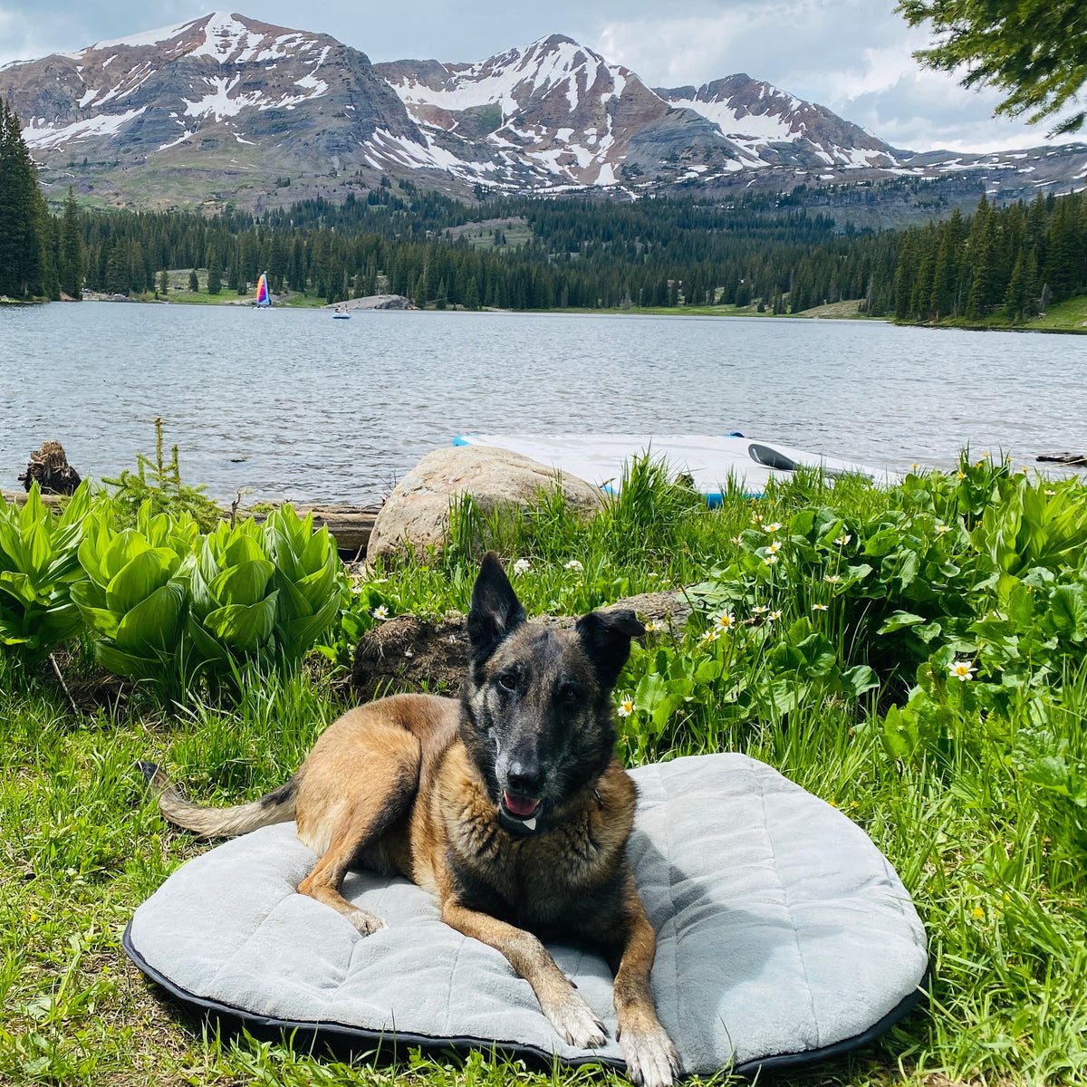 Portable Dog Bed product image 7