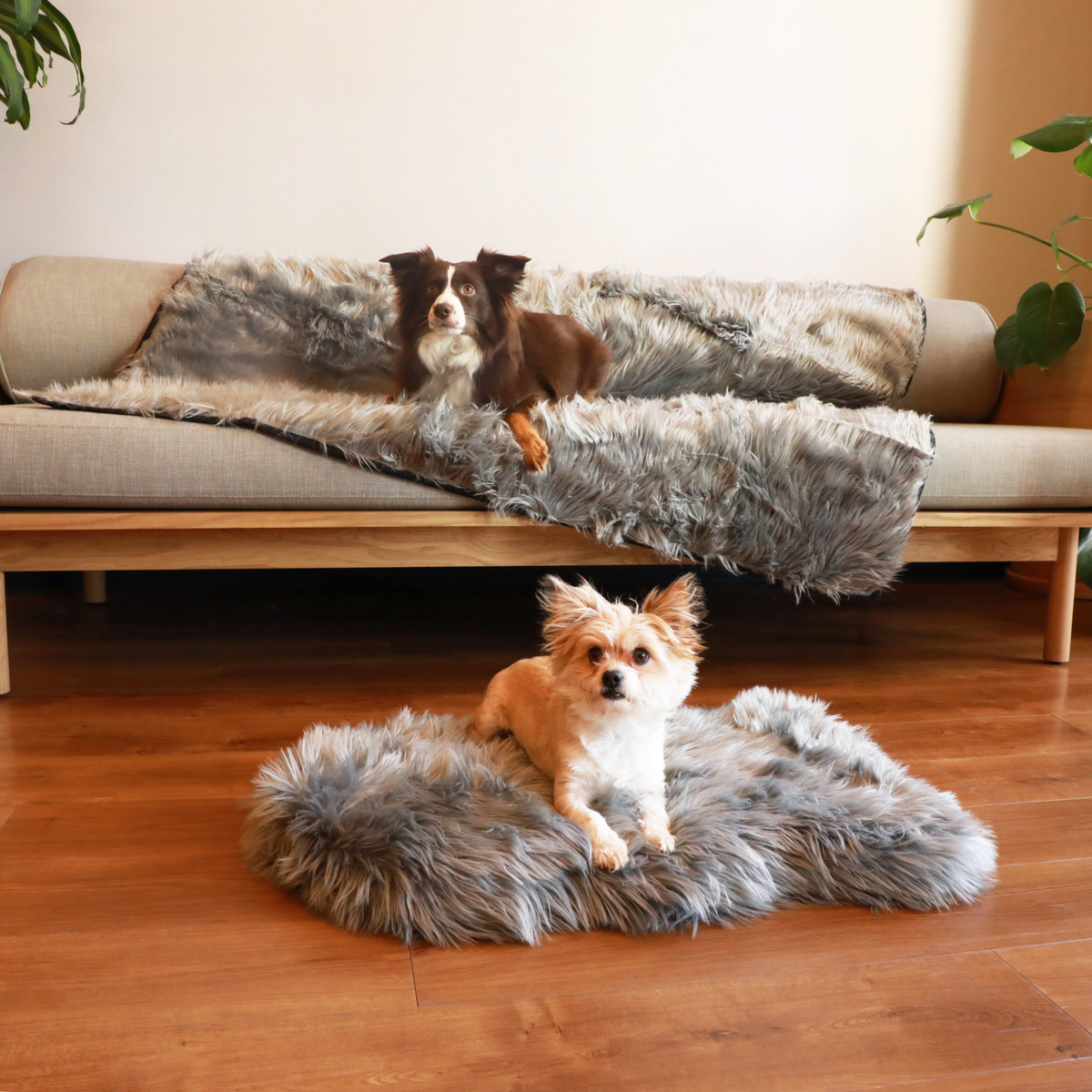 Orthopedic Dog Bed Bundle product image 2