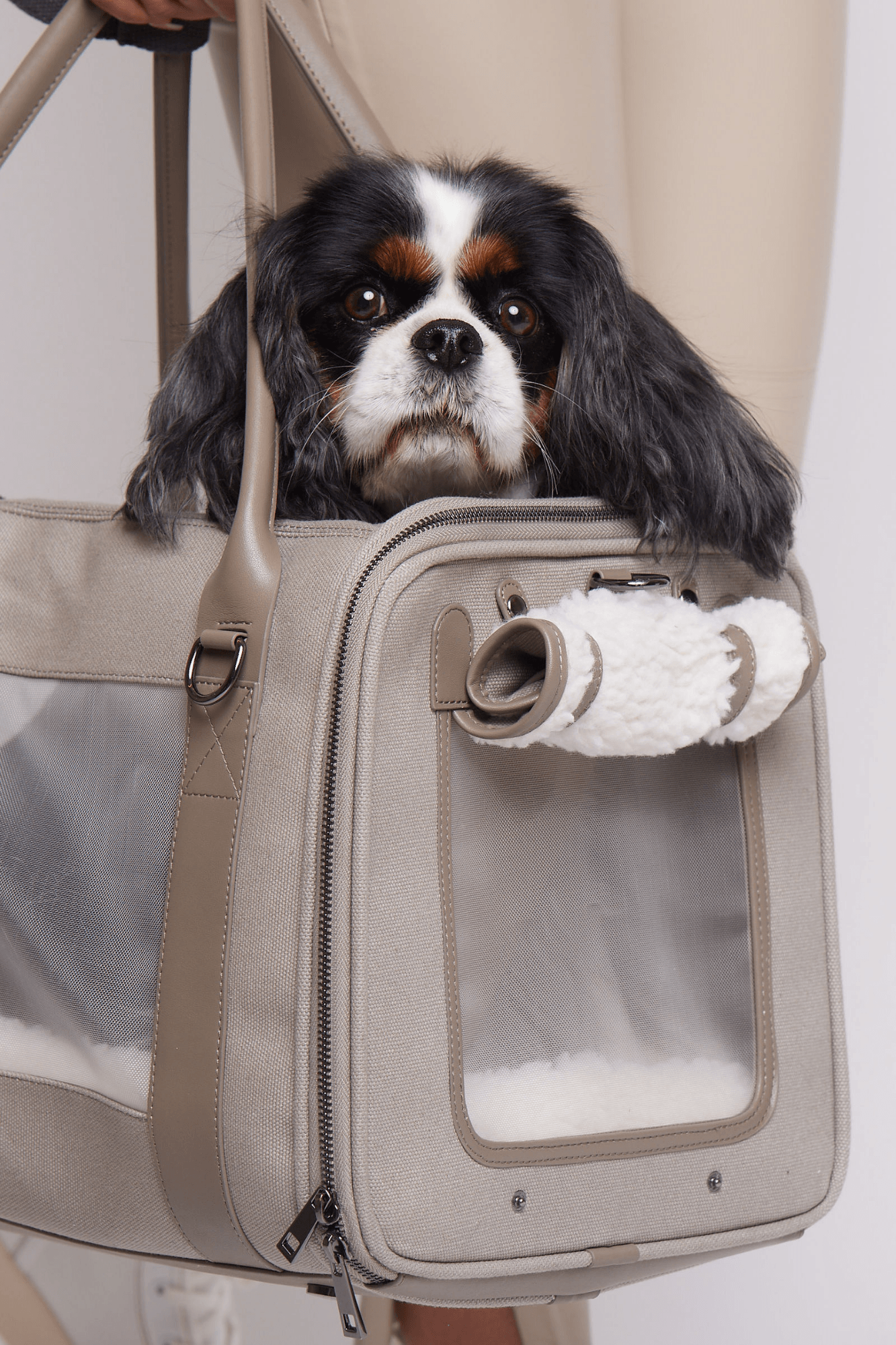 Soft-Sided Pet Carrier Bag product image 11