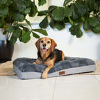 Orthopedic Dog Bed product image 1