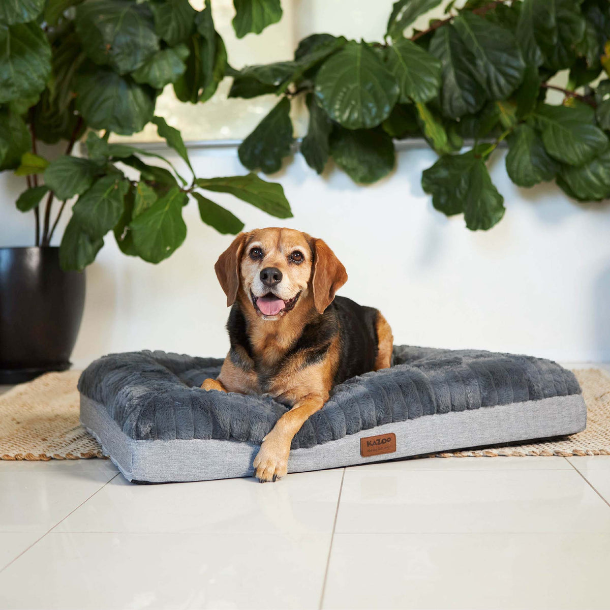 Orthopedic Dog Bed product image 1