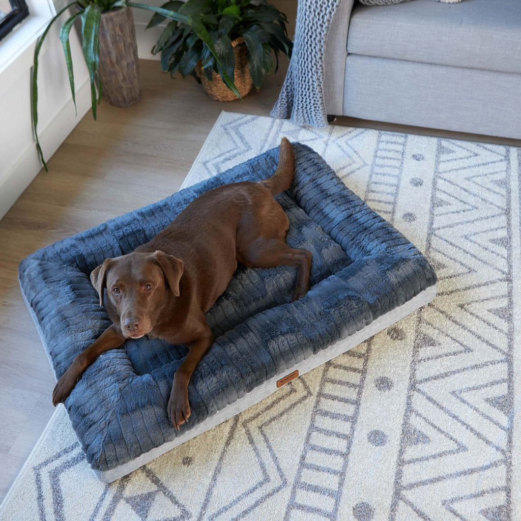 Orthopedic Dog Bed product image 4