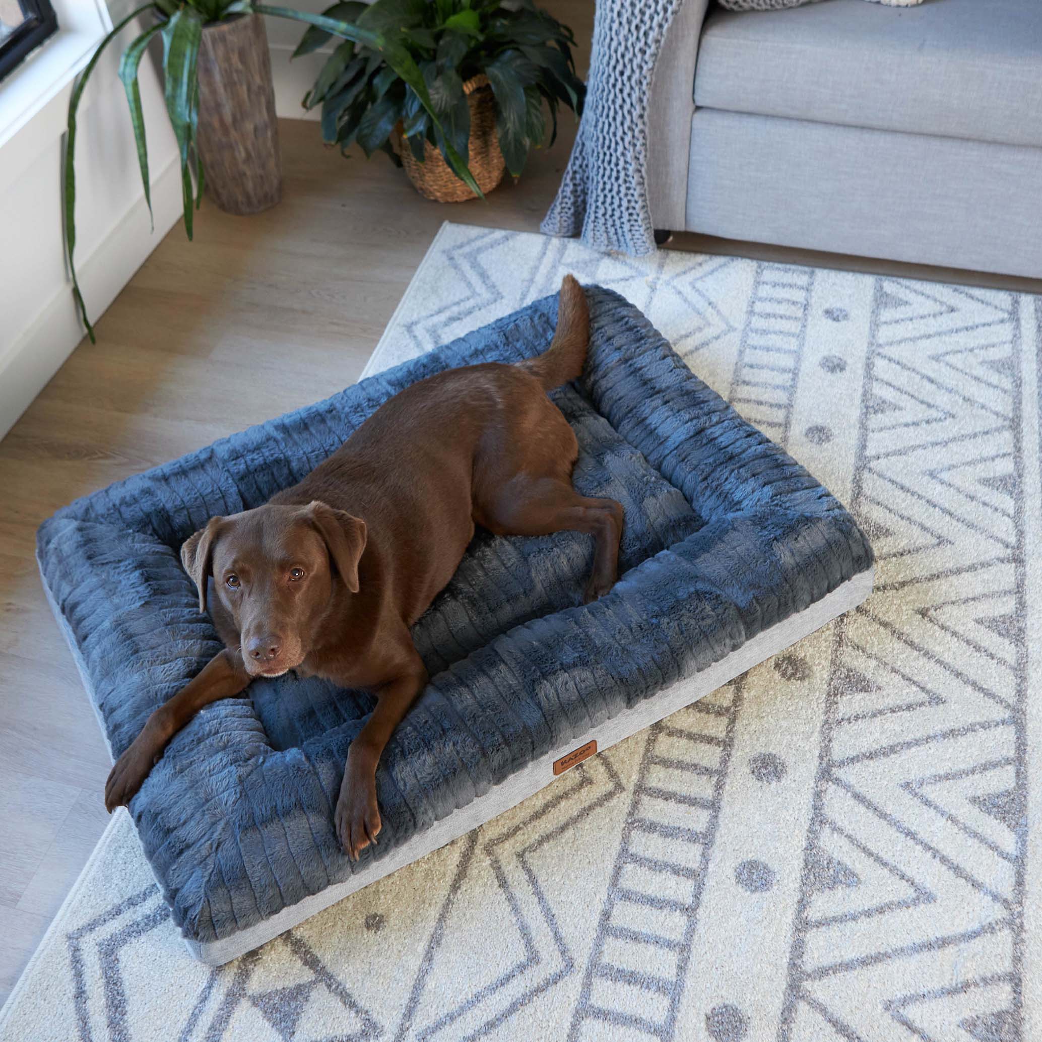 Orthopedic Dog Bed product image 4