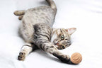Cat Toy Balls product image 2