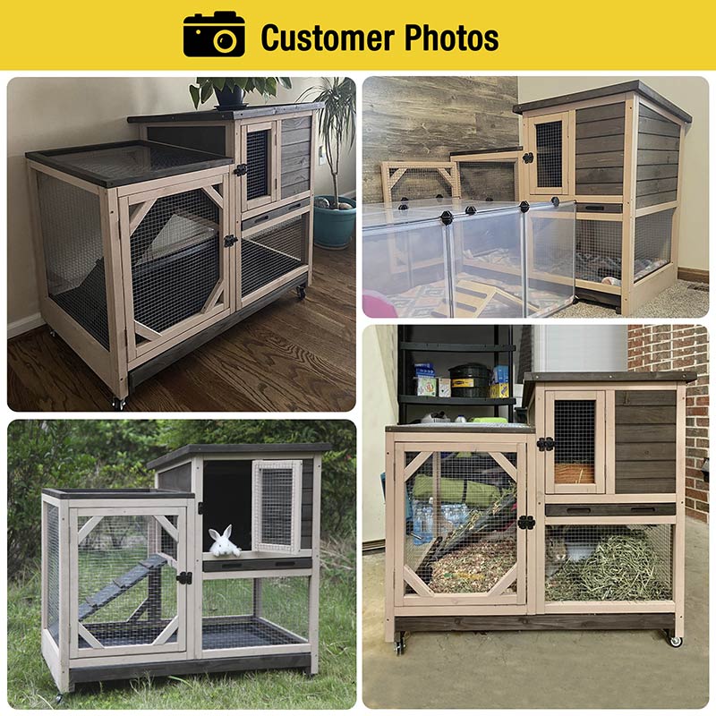 Rabbit Hutch product image 3
