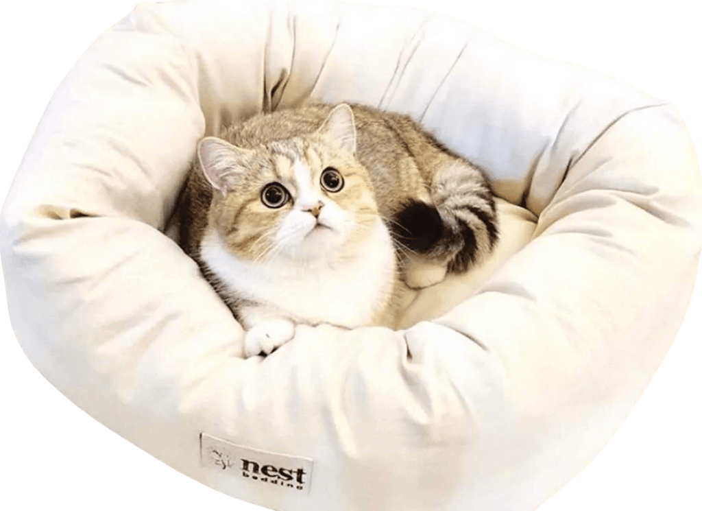 Bolstered Pet Bed product image 3