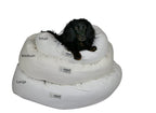 Bolstered Pet Bed product image 4