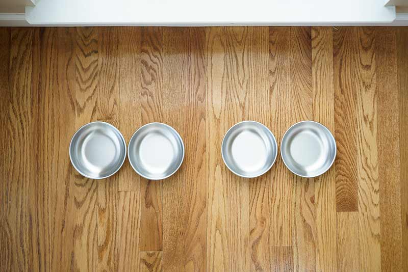 Stainless Steel Cat Bowls product image 9