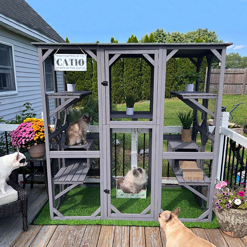 Outdoor Cat Catio and Tunnel System product image 2