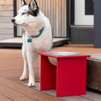 Dog Bowl product image 2