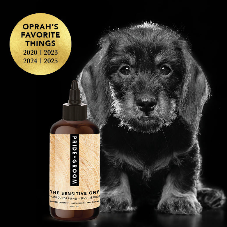 Sensitive Skin Dog Shampoo product image 4