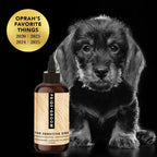 Sensitive Skin Dog Shampoo product image 4