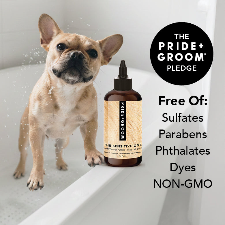 Sensitive Skin Dog Shampoo product image 5