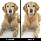 Sensitive Skin Dog Shampoo product image 7