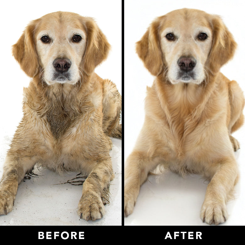 Sensitive Skin Dog Shampoo product image 7