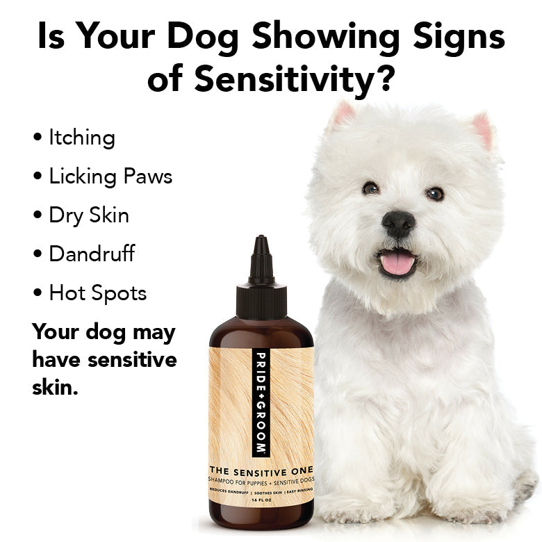 Sensitive Skin Dog Shampoo product image 10