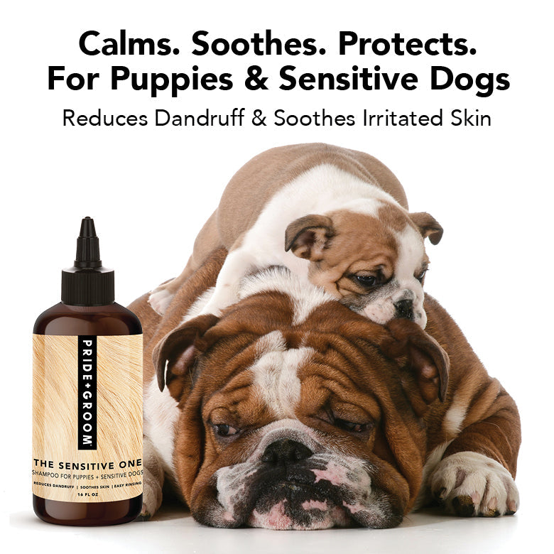 Sensitive Skin Dog Shampoo product image 11