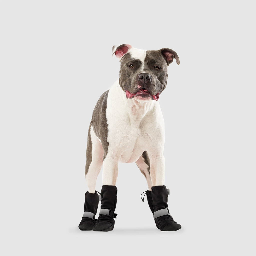 Soft Shield Boots in Black Reflective, Canada Pooch Dog Boots|| color::black-reflective|| size::5|| name::Rico The American Bulldog||weight::63