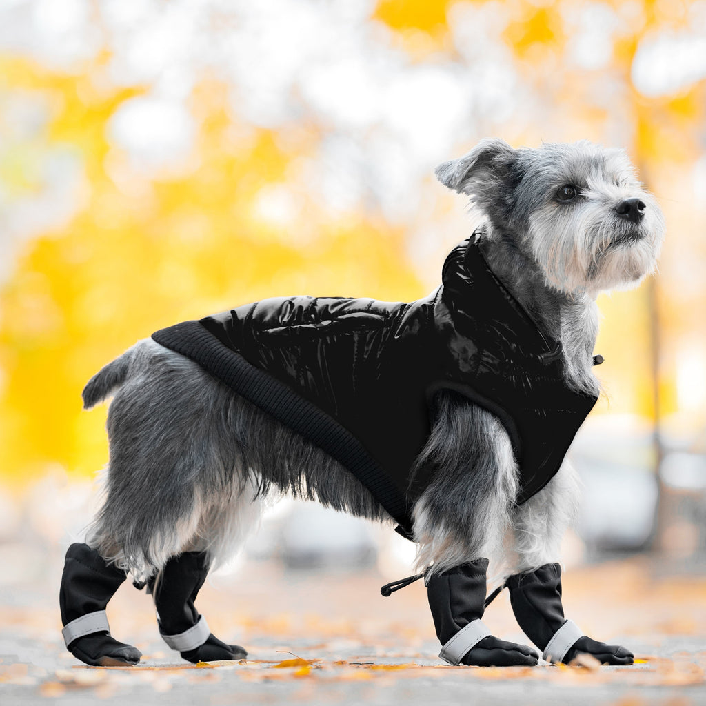 Soft Shield Dog Boots in Black Reflective, Canada Pooch, Dog Boot || color::Black-Reflective || size::na