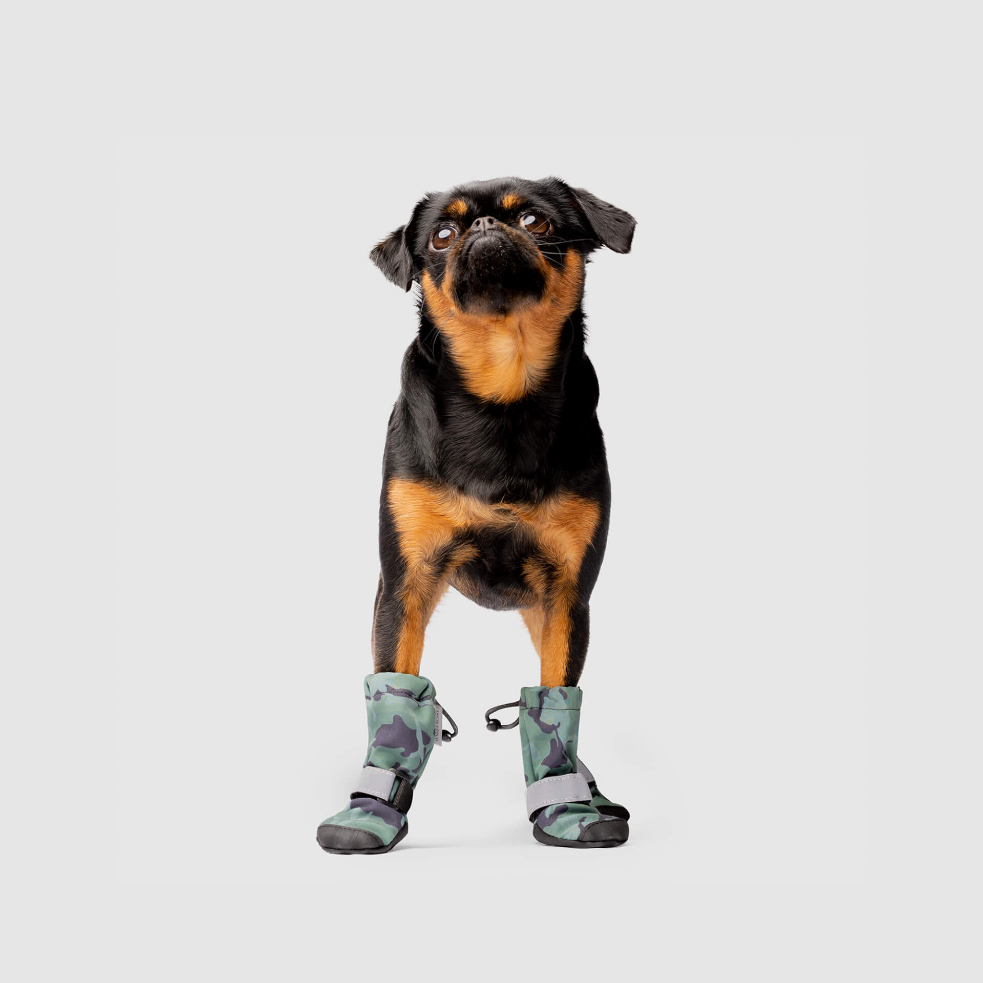 Soft Shield Boots in Green Camo Reflective, Canada Pooch Dog Boots|| color::green-camo-reflective|| size::1|| name:: Nori The Brussels Griffon|| weight::12