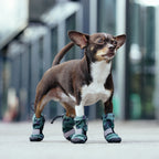 Soft Shield Dog Boots in Green Camo Reflective, Canada Pooch, Dog Boot || color::Green-Camo-Reflective || size::na