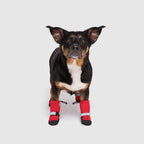 Soft Shield Boots in Red, Canada Pooch Dog Boots|| color::Red|| size::3|| name:: Moira The Corgi German Shepherd Mix || weight::35