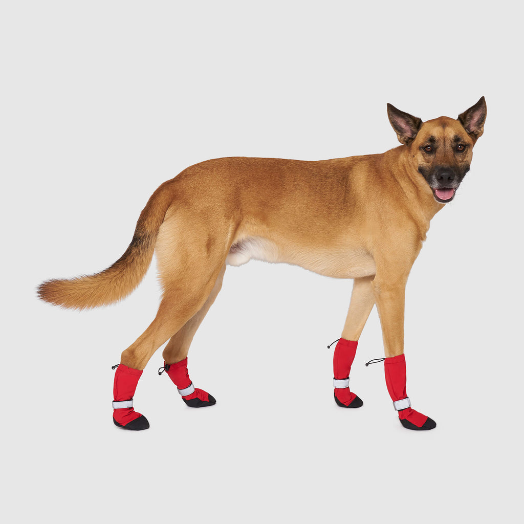 Soft Shield Boots in Red, Canada Pooch Dog Boots|| color::Red|| size::5|| name:: Dawson The Boxsky || weight::76